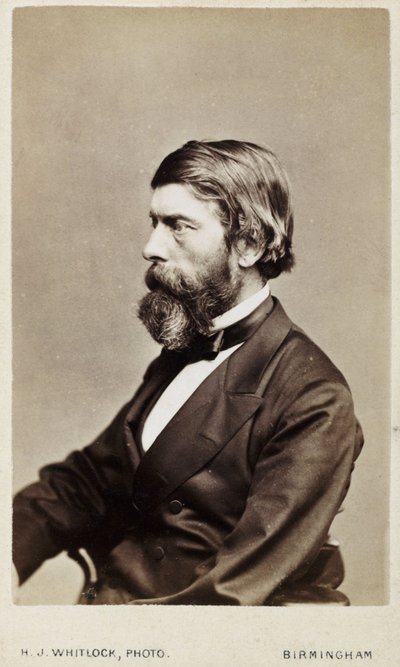 Alexander William Williamson, Schotse chemicus, ca. 1865 door Unbekannt