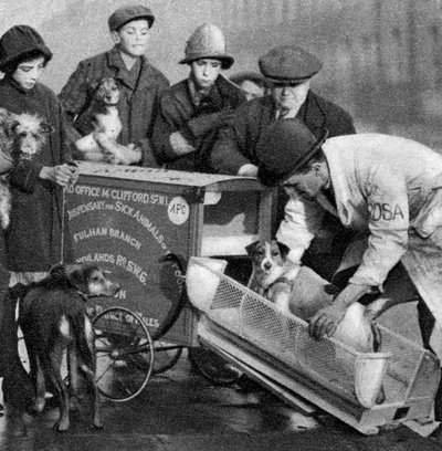 Ambulance van de Dispensary for Sick Animals of the Poor, Londen door Unbekannt