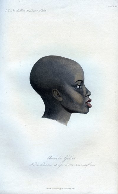 Amochi Galla, een portret van een Galla, 1848 door Unbekannt