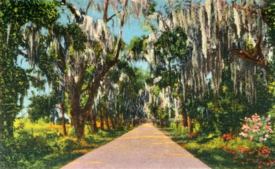 Een Verleidelijk Snelwegtafereel in de Carolinas, 1942 door Unbekannt