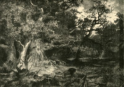 Een oud Duits bos, 1890 door Unbekannt