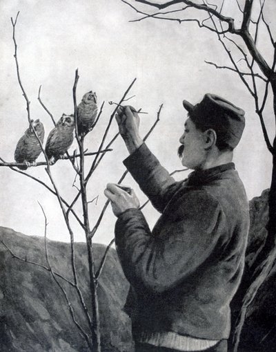 Een originele loopgraafdecoratie, Frankrijk, Eerste Wereldoorlog, 1915 door Unbekannt