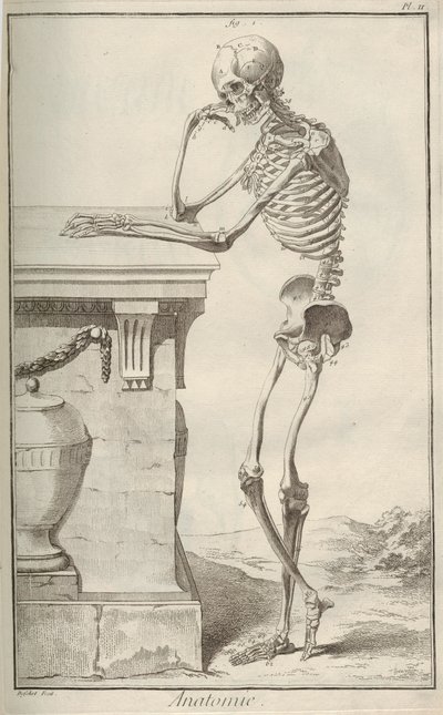 Anatomie. Uit Encyclopédie door Denis Diderot en Jean Le Rond d