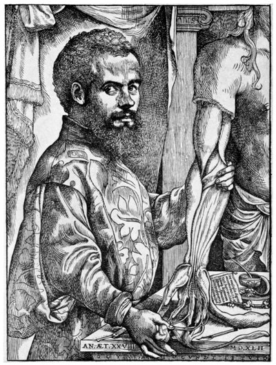 Andreas Vesalius, 16e-eeuwse Vlaamse anatoom door Unbekannt