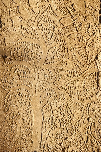 Angkor Wat, gebeeldhouwd detail op muur, boom, Siem Reap, Cambodja door Unbekannt