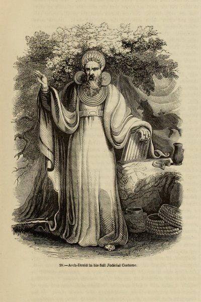 Aartsdruïde in zijn volledige gerechtelijke kostuum Uit het boek Oud Engeland: Een Picturaal Museum, 1845 door Unbekannt