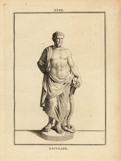 Asclepius, Griekse god van de geneeskunde met staf omwonden door een slang door Unbekannt