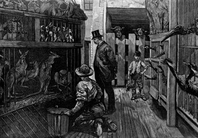 Bij Jamrachs, Londen, 1887 door Unbekannt
