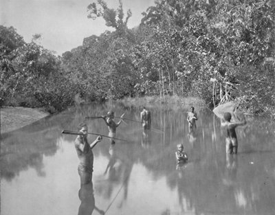 Australische Aboriginals die vissen spiesen door Unbekannt