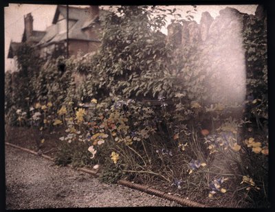 Autochroom van bloemen, ca. 1908 door Unbekannt