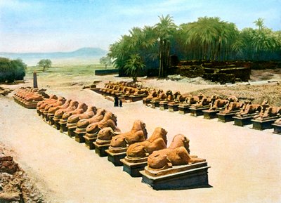 Laan van ramshoofdige sfinxen, tempel van Amon-Re, Karnak, Luxor, Egypte, 20e eeuw door Unbekannt