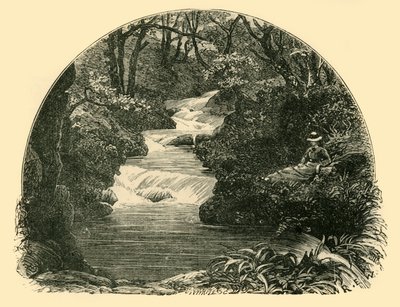 Bagworthy Waterslide, 1898 door Unbekannt