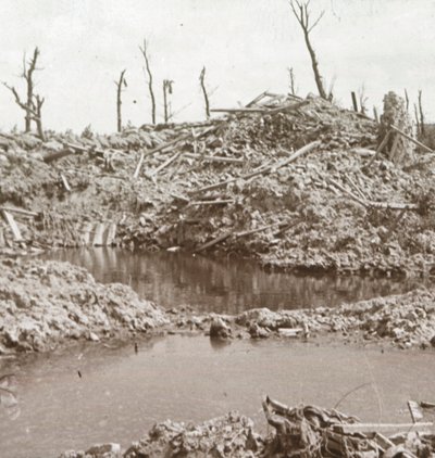 Oevers van de rivier de IJzer, Diksmuide, België door Unbekannt