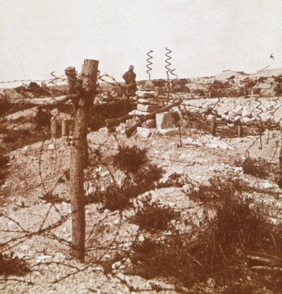 Prikkeldraad, Craonne, Noord-Frankrijk, c1914-c1918 door Unbekannt