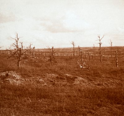 Slagveld, Tahure, Noord-Frankrijk, ca. 1914-ca. 1918 door Unbekannt