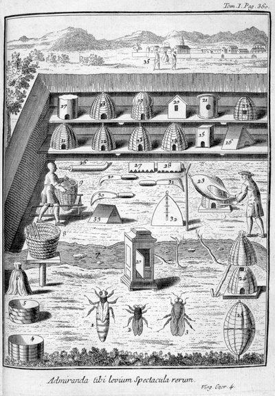 Bijenteelt, 1775 door Unbekannt