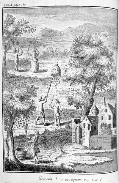 Bijenteelt, 1775 door Unbekannt