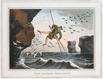 Vogelvangst van bovenaf, Shetlandeilanden, 1813 door Unbekannt