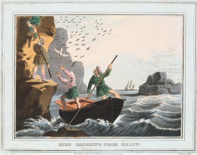 Vogelvangst van Onderaf, Shetlandeilanden, 1813 door Unbekannt