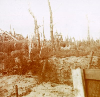 Verwoest hout, Nieuwpoort, Vlaanderen, België door Unbekannt