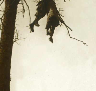 Lichaam in boom, Bois d