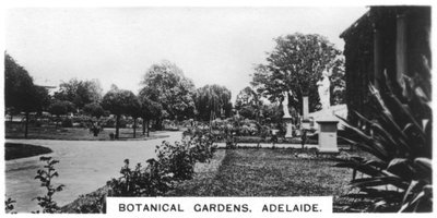 Botanische tuinen, Adelaide, Australië, 1928 door Unbekannt