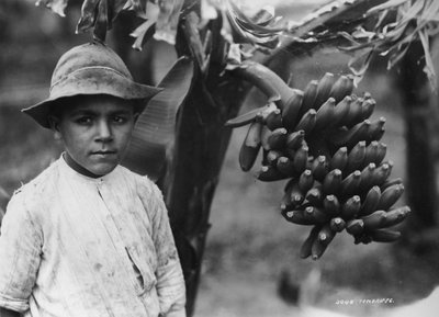 Jongen met bananen die aan een boom groeien, Tenerife, Canarische Eilanden, Spanje, ca. 1920s-1930s door Unbekannt