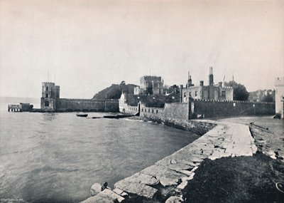 Branksea Island - Algemeen uitzicht op het kasteel, 1895 door Unbekannt