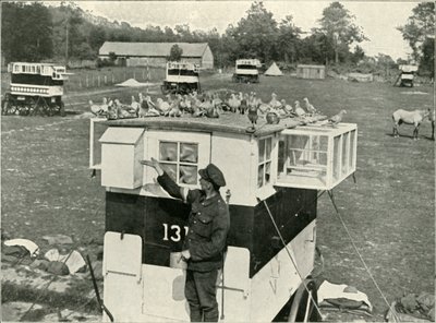 Britse leger postduiven in Frankrijk: door paarden getrokken duiventillen, 1919 door Unbekannt