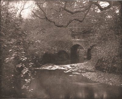 Beek en brug in het New Forest, Hampshire, 1894 door Unbekannt