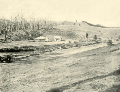 Bush Workmans Home, Gippsland, Victoria, 1901 door Unbekannt