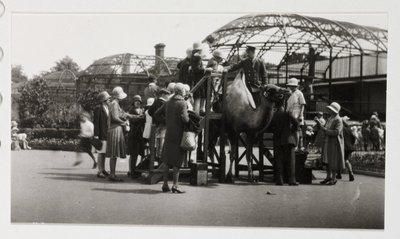 Kameelrit, circa 1930 door Unbekannt