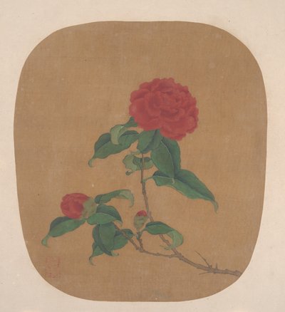 Camellia Bloemen door Unbekannt