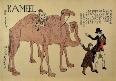 Kamelen met Nederlandse begeleiders, ca. 1821 door Unbekannt