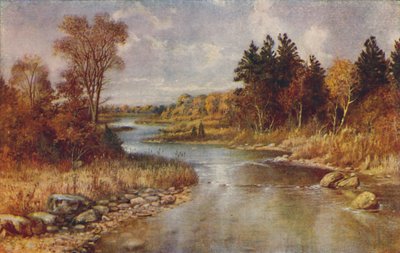 Canadees Boslandschap, 1924 door Unbekannt