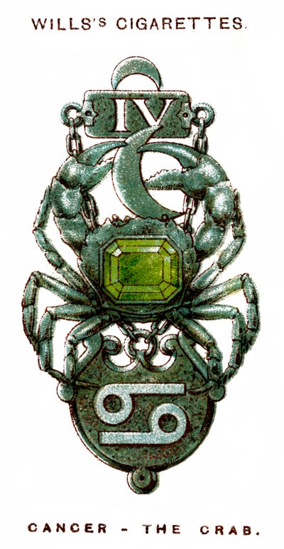 Kreeft, 1923 door Unbekannt