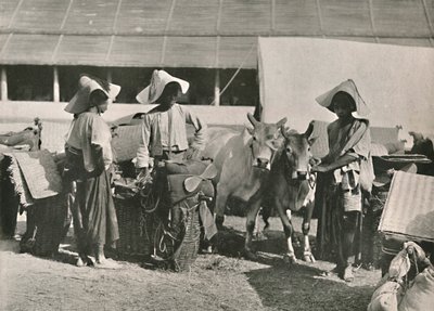 Karavaanscène met Shans in Bhamo, 1900 door Unbekannt