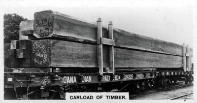 Lading Douglas-spar, Canada, c1920s door Unbekannt