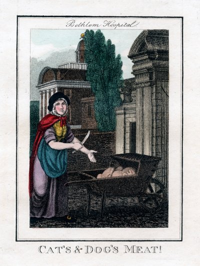 Katten- en hondenvlees!, Bethlem Hospital, Londen, 1805 door Unbekannt