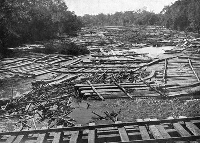 Cederstammen op de Tebicuary-Guazu-rivier drijvend langs de spoorbrug, Paraguay, 1911 door Unbekannt