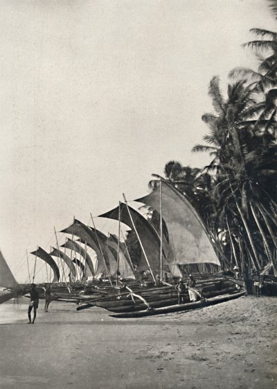 Ceylonese Zeilvissersboten met Uitloper, 1926 door Unbekannt