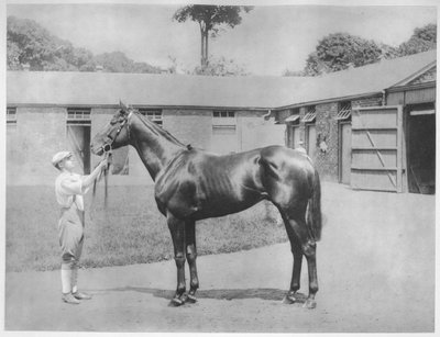 Chandon, 1911 door Unbekannt