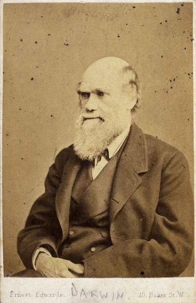 Charles Darwin, Engelse natuuronderzoeker, ca. 1870s door Unbekannt