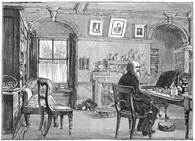 Charles Darwin, Engelse natuuronderzoeker, in zijn studeerkamer door Unbekannt