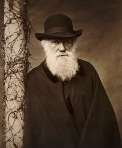 Charles Darwin in zijn huis in Down House, Kent, ca. 1880 door Unbekannt