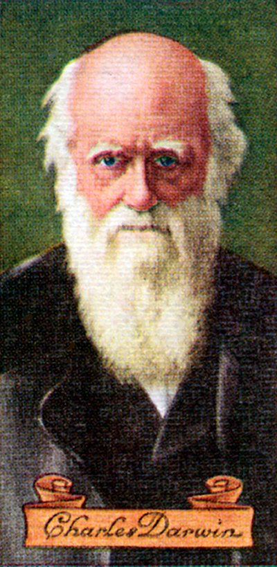 Charles Darwin, uit een serie sigarettenkaartjes, 1935 door Unbekannt