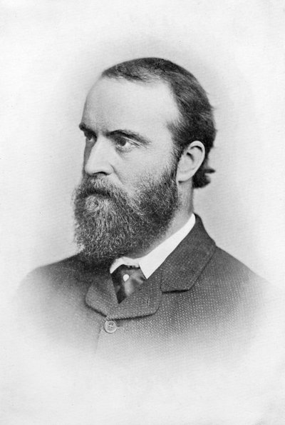 Charles Stuart Parnell, 19e-eeuwse Ierse politicus, ca. 1874-1891 door Unbekannt