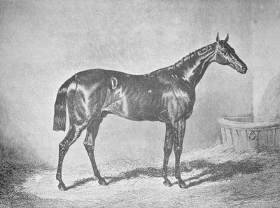 Charles XII, winnaar van de St. Leger 1839, 1911 door Unbekannt
