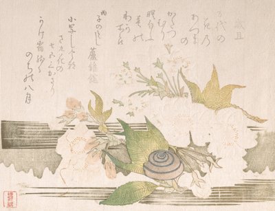 Kersenbloesems en een slak, 1816 door Unbekannt