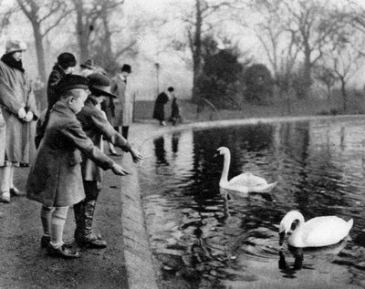Kinderen voeren de zwanen op de Serpentine, Londen, 1926-1927 door Unbekannt